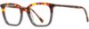 Picture of Alan J Eyeglasses AJ-518