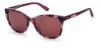 Picture of Juicy Couture Sunglasses JU 617/G/S