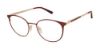 Picture of Ted Baker Eyeglasses TW509