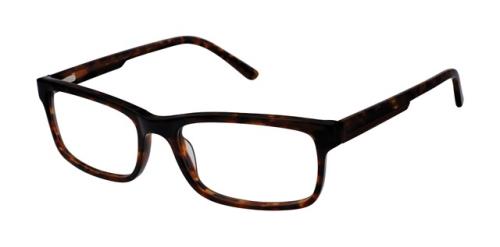 Picture of Geoffrey Beene Eyeglasses G523
