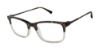 Picture of Buffalo David Bitton Eyeglasses BM001