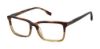 Picture of Buffalo David Bitton Eyeglasses BM007