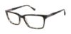 Picture of Buffalo David Bitton Eyeglasses BM007