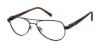 Picture of Buffalo David Bitton Eyeglasses BM503