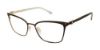 Picture of Buffalo David Bitton Eyeglasses BW500