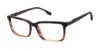 Picture of Buffalo David Bitton Eyeglasses BM007