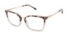 Picture of Buffalo David Bitton Eyeglasses BW020