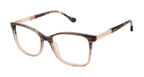 Buffalo david sales bitton reading glasses