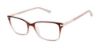Picture of Ted Baker Eyeglasses TFW005