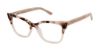 Picture of Ted Baker Eyeglasses TW002