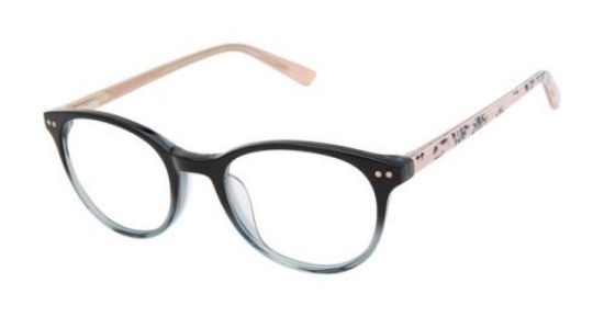 Picture of Ted Baker Eyeglasses B981