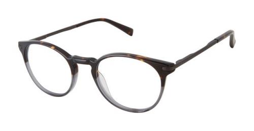 Picture of Ted Baker Eyeglasses TFM006