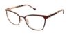 Picture of Buffalo David Bitton Eyeglasses BW500