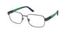 Picture of Polo Eyeglasses PH1209