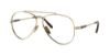 Picture of Ray Ban Eyeglasses RX8225V