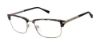 Picture of Ted Baker Eyeglasses TM503