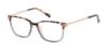 Picture of Ted Baker Eyeglasses TFW008