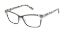 Picture of L.A.M.B. Eyeglasses LA074