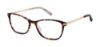 Picture of Ted Baker Eyeglasses TFW002