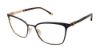 Picture of Buffalo David Bitton Eyeglasses BW500