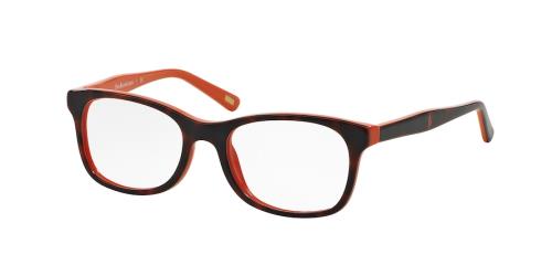 Picture of Polo Eyeglasses PP8522