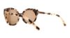Picture of Michael Kors Sunglasses MK2019
