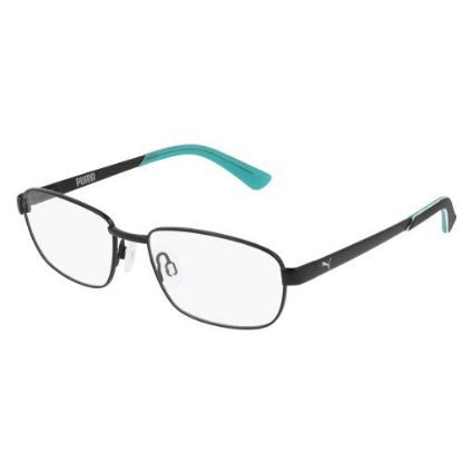 Picture of Puma Eyeglasses PJ0011O