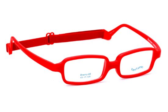 Picture of FlexFrames Eyeglasses Brainy 45 Plus