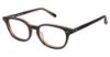 Picture of Seventy One Eyeglasses Salisbury