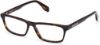 Picture of Adidas Eyeglasses OR5042