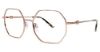 Picture of H Halston Eyeglasses 2008