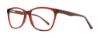 Picture of Eight to Eighty Eyeglasses Margo