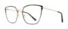 Picture of Serafina Eyewear Eyeglasses Roz