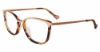 Picture of Yalea Eyeglasses VYA051