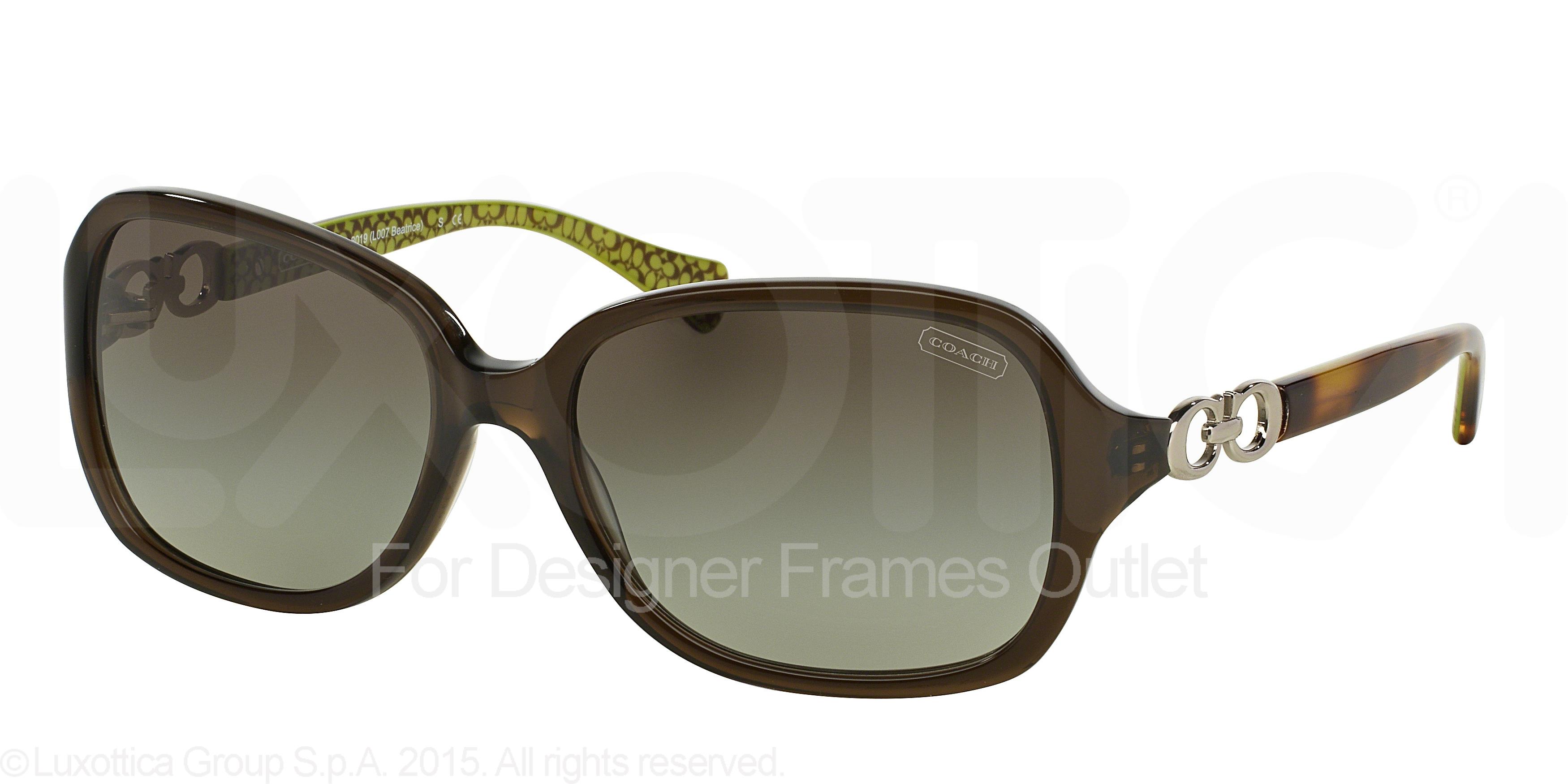 Picture of Coach Sunglasses HC8019