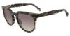 Picture of Police Sunglasses SPLD34