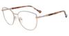 Picture of Yalea Eyeglasses VYA014
