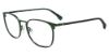 Picture of Gap Eyeglasses VGP007