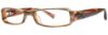 Picture of Vera Wang Eyeglasses V185