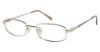 Picture of Aristar Eyeglasses AR 16320