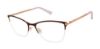 Picture of Ted Baker Eyeglasses TW504