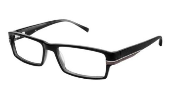 Picture of Ted Baker Eyeglasses B834