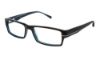 Picture of Ted Baker Eyeglasses B834