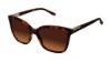 Picture of Ted Baker Sunglasses TB134