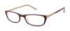 Picture of Ted Baker Eyeglasses B706