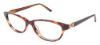 Picture of Ted Baker Eyeglasses B711