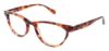 Picture of Ted Baker Eyeglasses B713