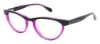 Picture of Ted Baker Eyeglasses B713