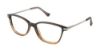 Picture of Ted Baker Eyeglasses B735