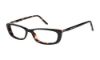 Picture of Ted Baker Eyeglasses B851